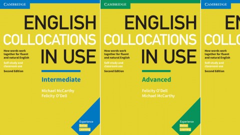 English Collocations in Use Second edition English Collocations in Use Second edition
