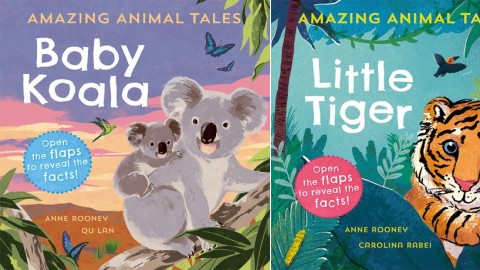 Amazing Animal Tales Picture Books Amazing Animal Tales Picture Books
