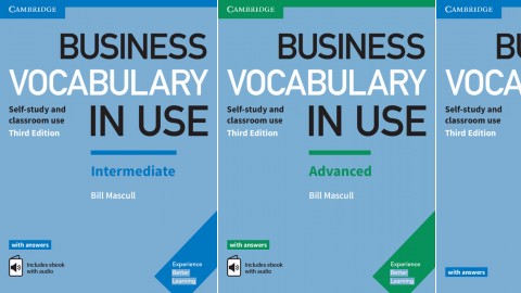 Business Vocabulary in Use: Third edition Business Vocabulary in Use: Third edition